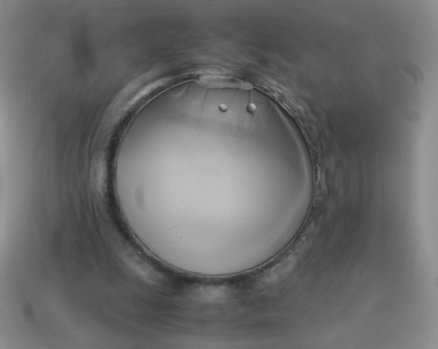 X0000114150247200910221553