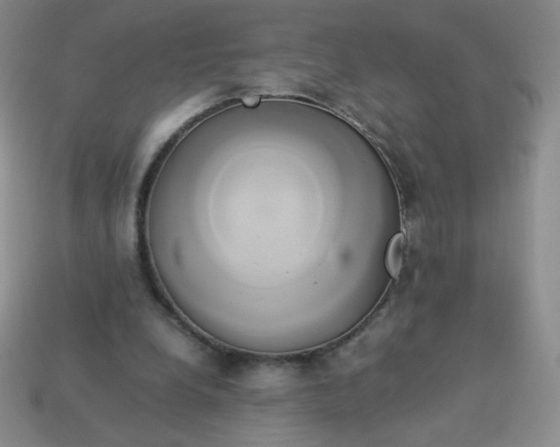 X0000114150248200910221553