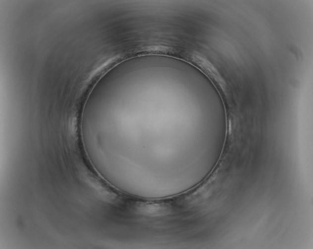 X0000114150249200910221553