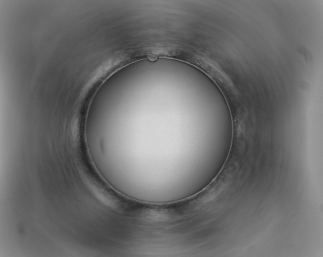 X0000114150250200910221553