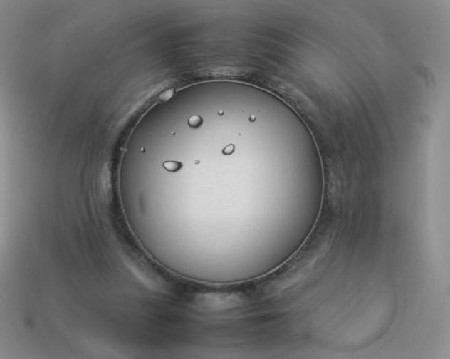 X0000114150251200910221553