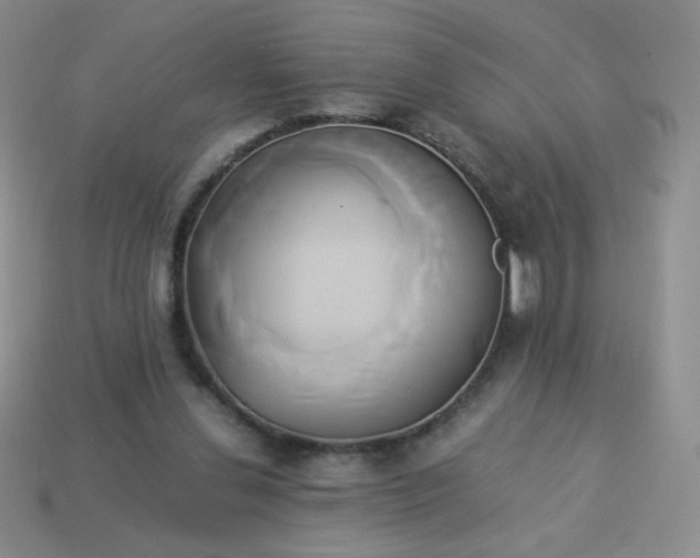 X0000114150252200910221553