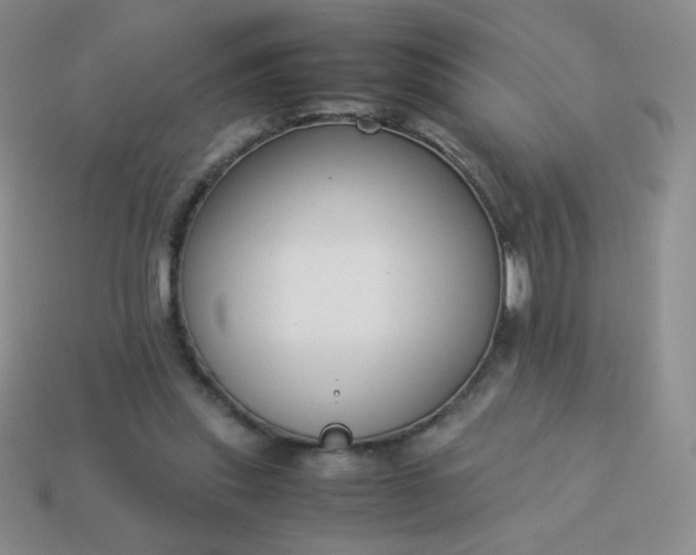 X0000114150253200910221553