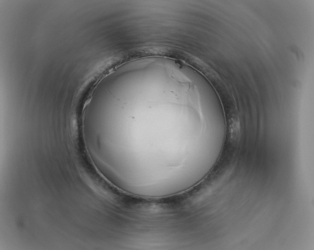 X0000114150254200910221553