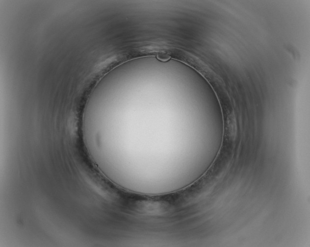 X0000114150255200910221553