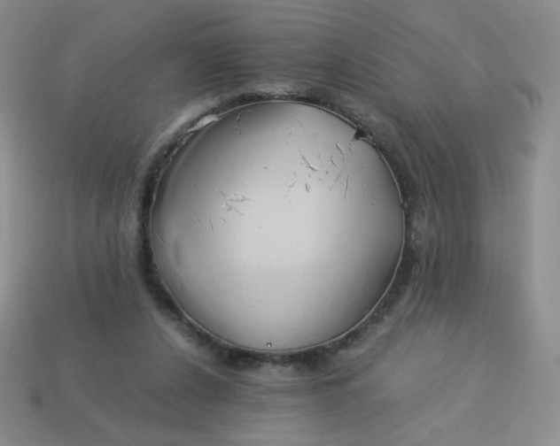 X0000114150256200910221553