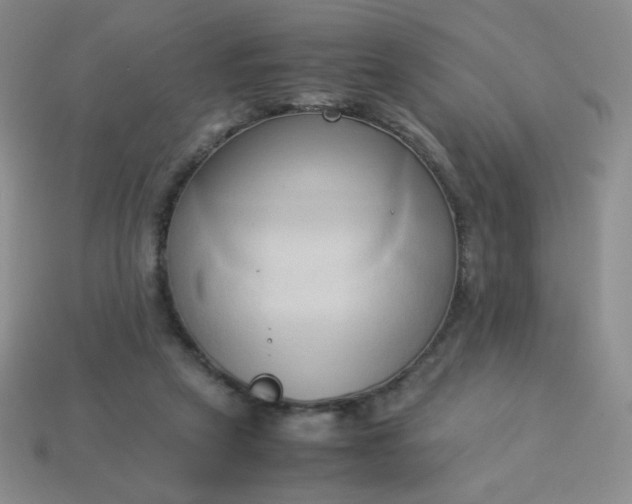 X0000114150257200910221553