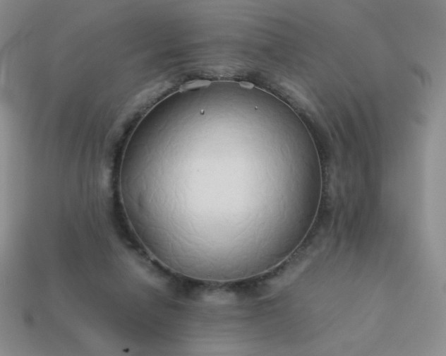 X0000114150258200910221553