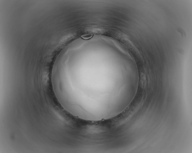 X0000114150259200910221553