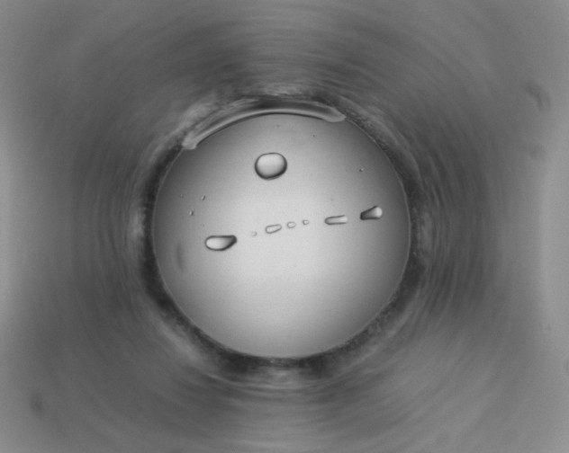 X0000114150260200910221553