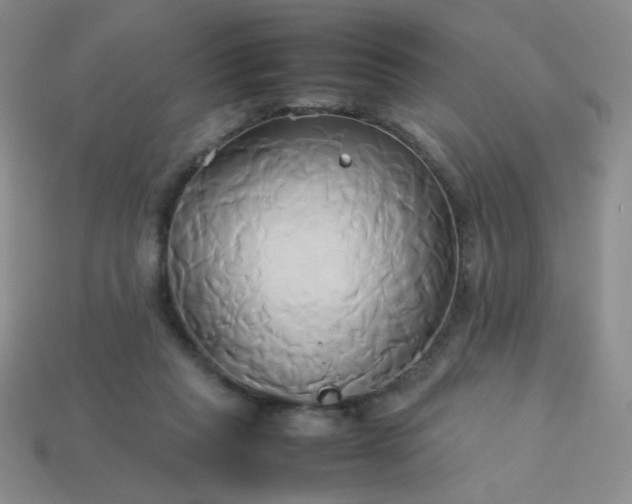 X0000114150261200910221553