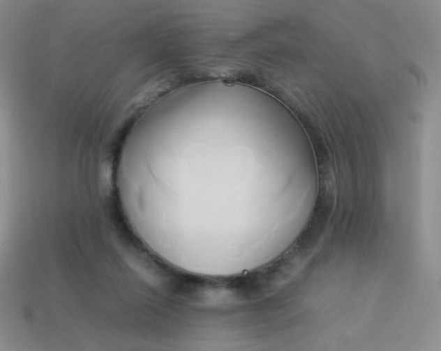 X0000114150262200910221553