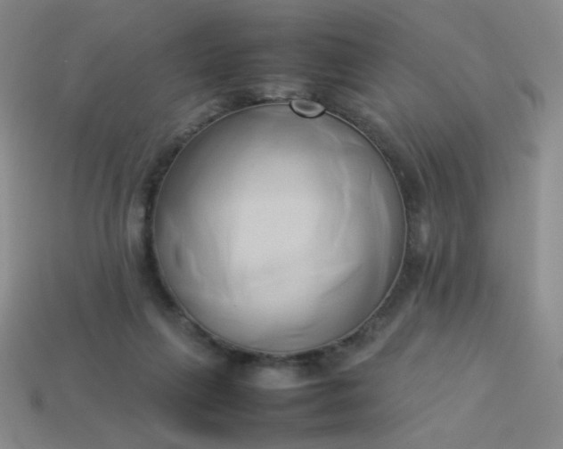 X0000114150263200910221553