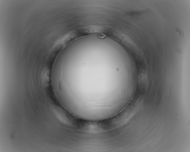 X0000114150264200910221553