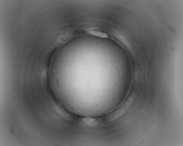 X0000114150265200910221553