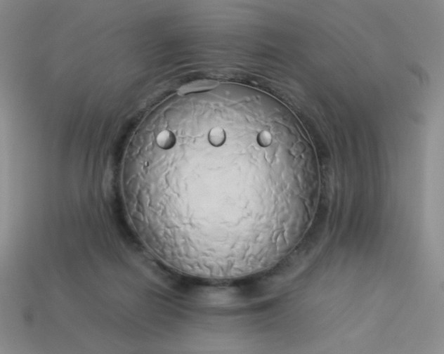 X0000114150266200910221553