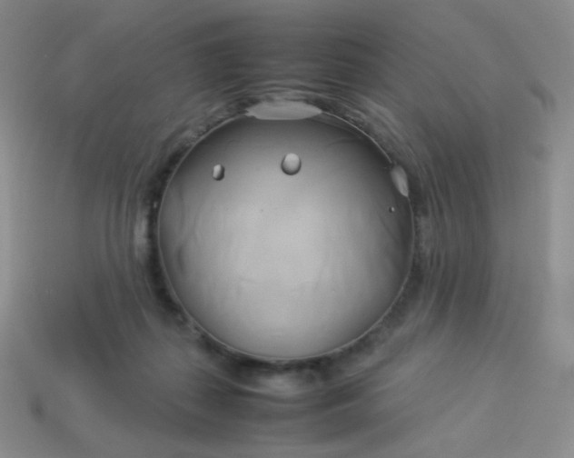 X0000114150267200910221553