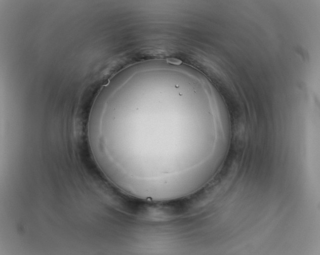 X0000114150268200910221553