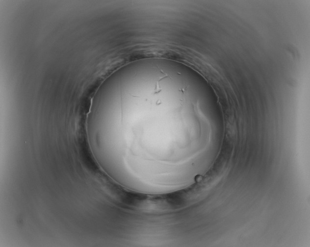 X0000114150270200910221553