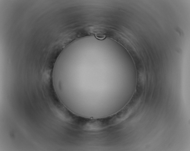 X0000114150271200910221553