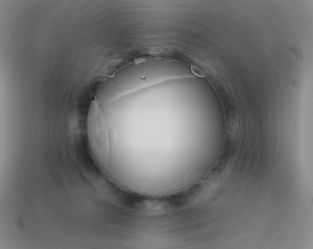 X0000114150272200910221553