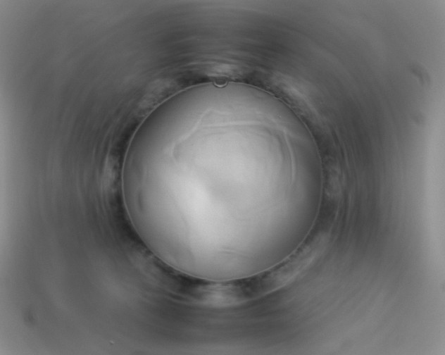 X0000114150273200910221553