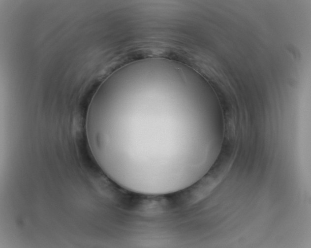 X0000114150274200910221553