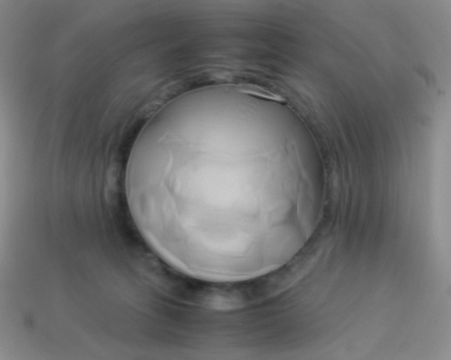 X0000114150275200910221553