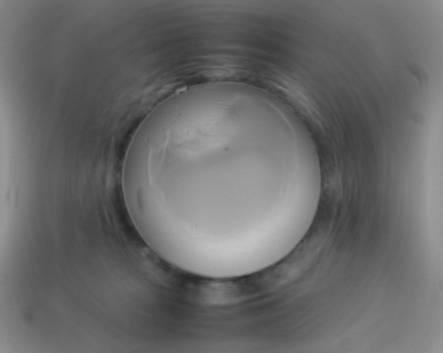 X0000114150277200910221553