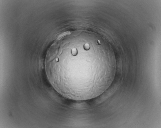 X0000114150278200910221553