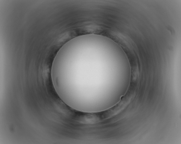 X0000114150279200910221553