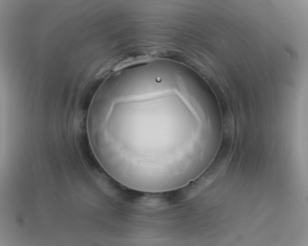 X0000114150280200910221553