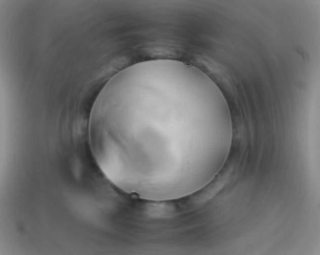 X0000114150281200910221553