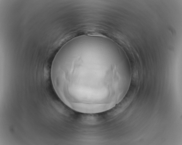 X0000114150282200910221553