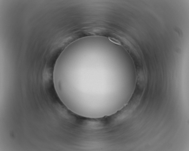 X0000114150284200910221553