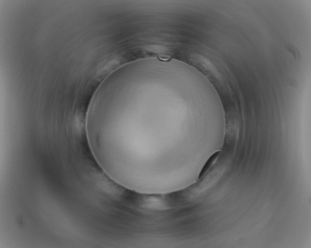 X0000114150285200910221553