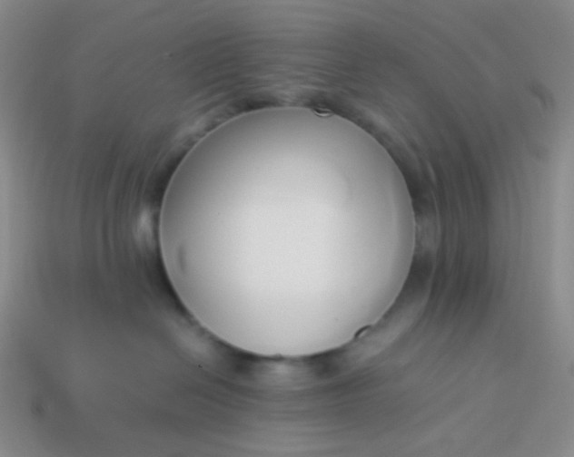 X0000114150286200910221553