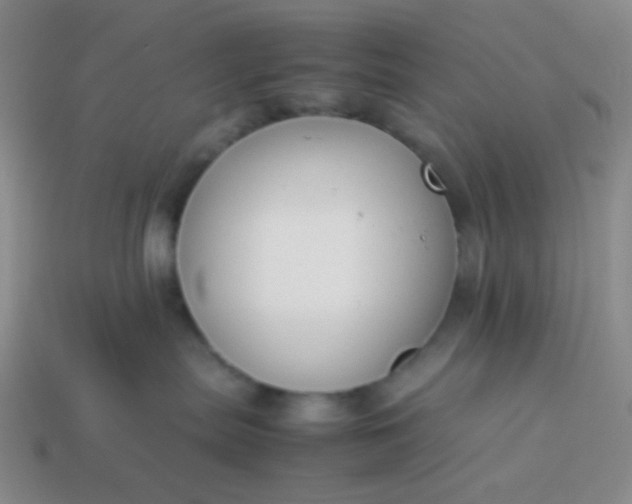 X0000114150287200910221553