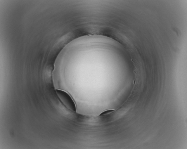 X0000114150288200910221553