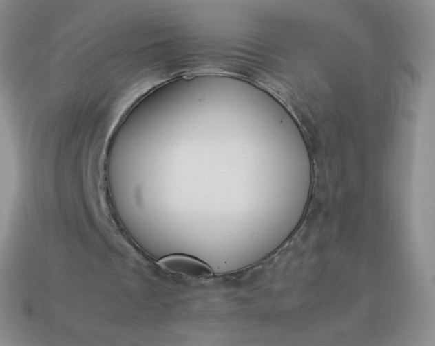 X0000114150289200910221552