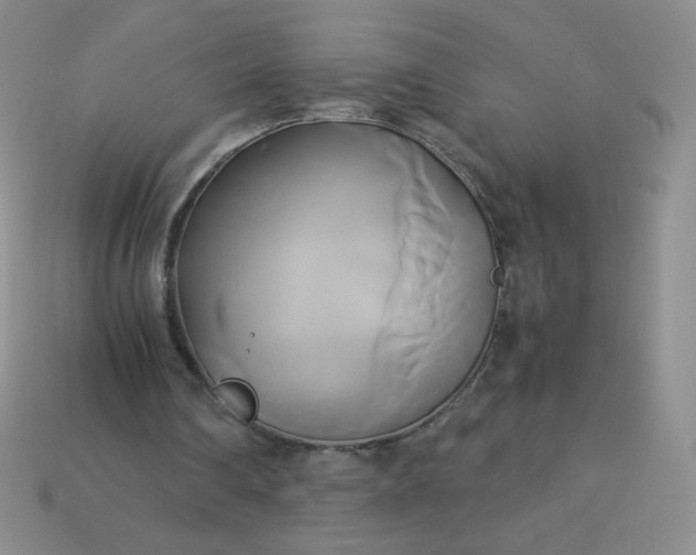 X0000114150290200910221552