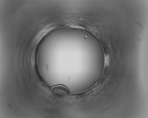 X0000114150291200910221552