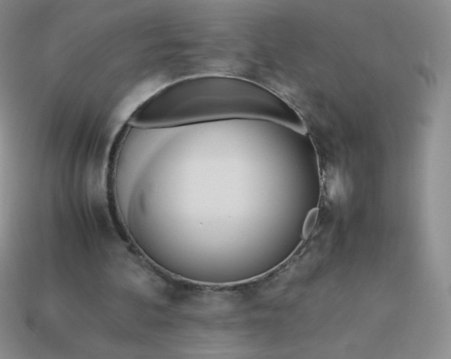 X0000114150292200910221552