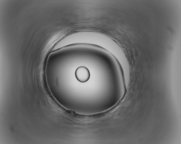 X0000114150293200910221552