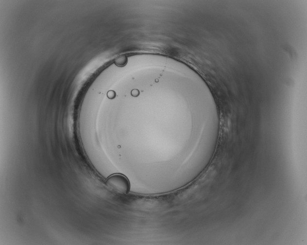 X0000114150294200910221552