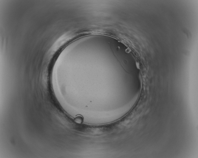 X0000114150295200910221552