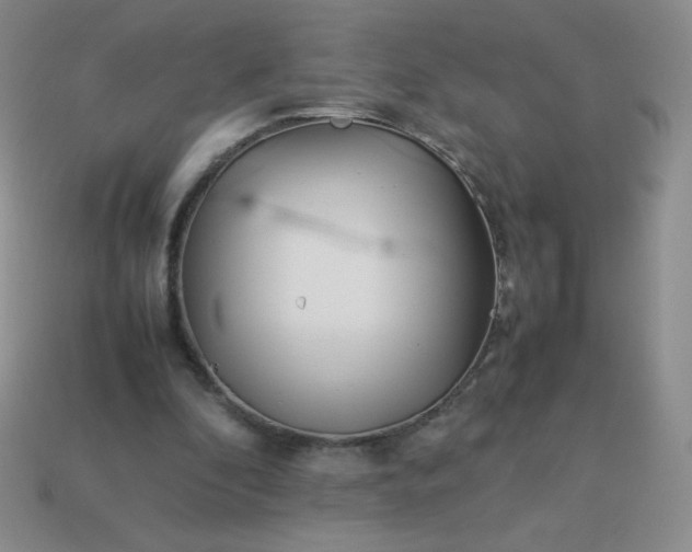 X0000114150296200910221552