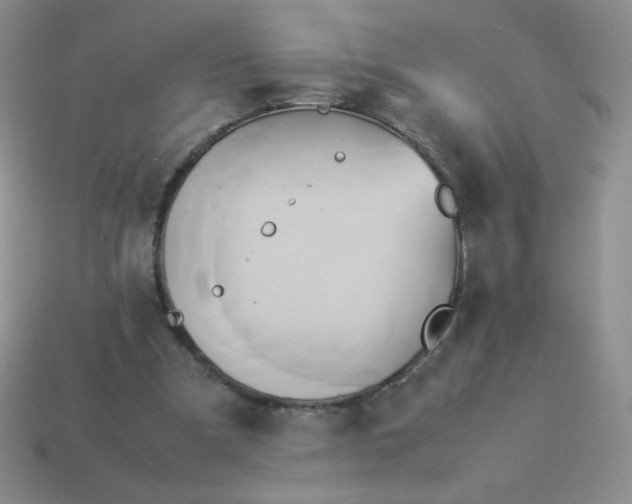 X0000114150297200910221552