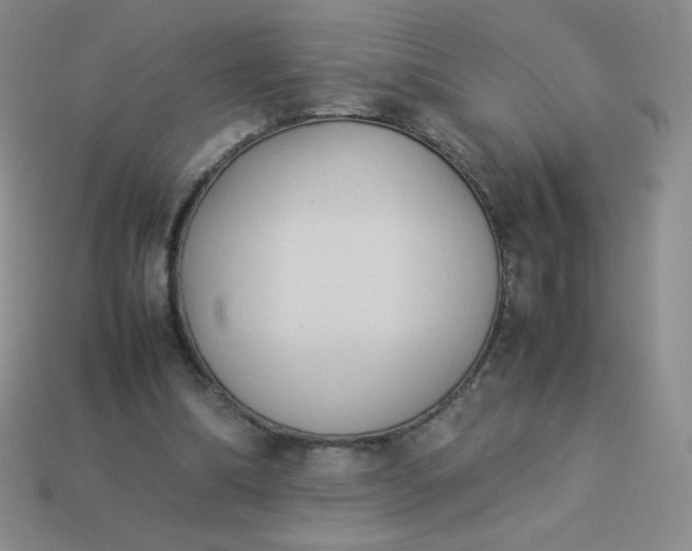 X0000114150298200910221552