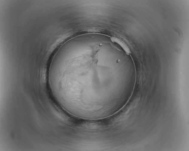 X0000114150299200910221552